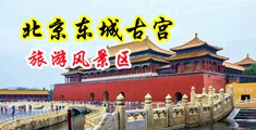 男男被骚零操爽了视频中国北京-东城古宫旅游风景区